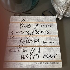 Wild air live in sunshine swim in the sea drink the wild air plaque Emerson